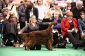 Crufts2011_2 016